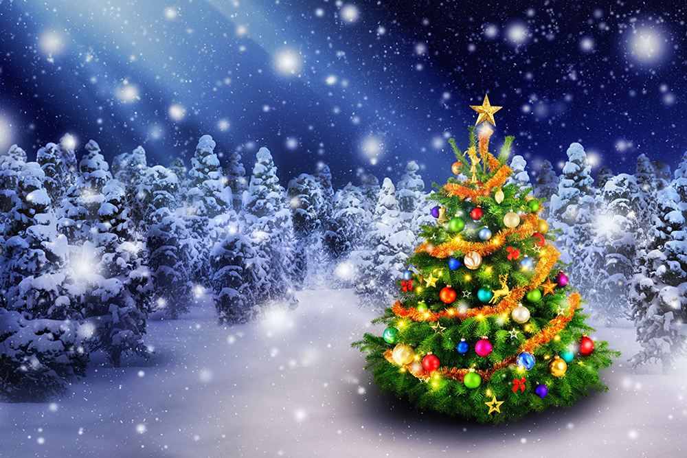 Поздравление с Новым годом и Рождеством от Премьер-министра России