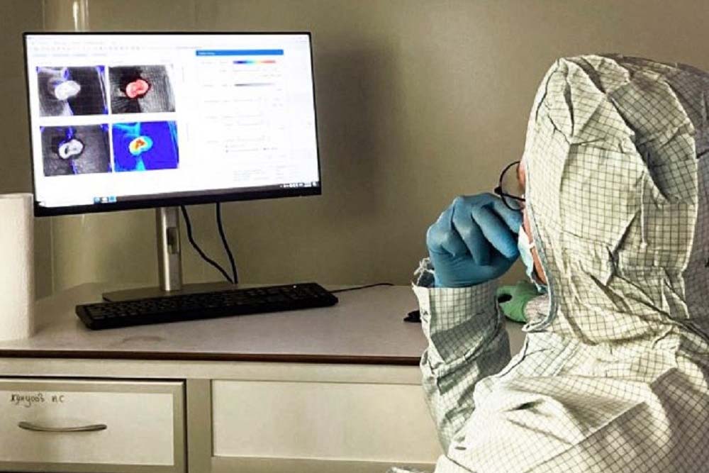 Учёные НИУ «БелГУ» нашли новый способ спасать мозг новорождённых после гипоксии