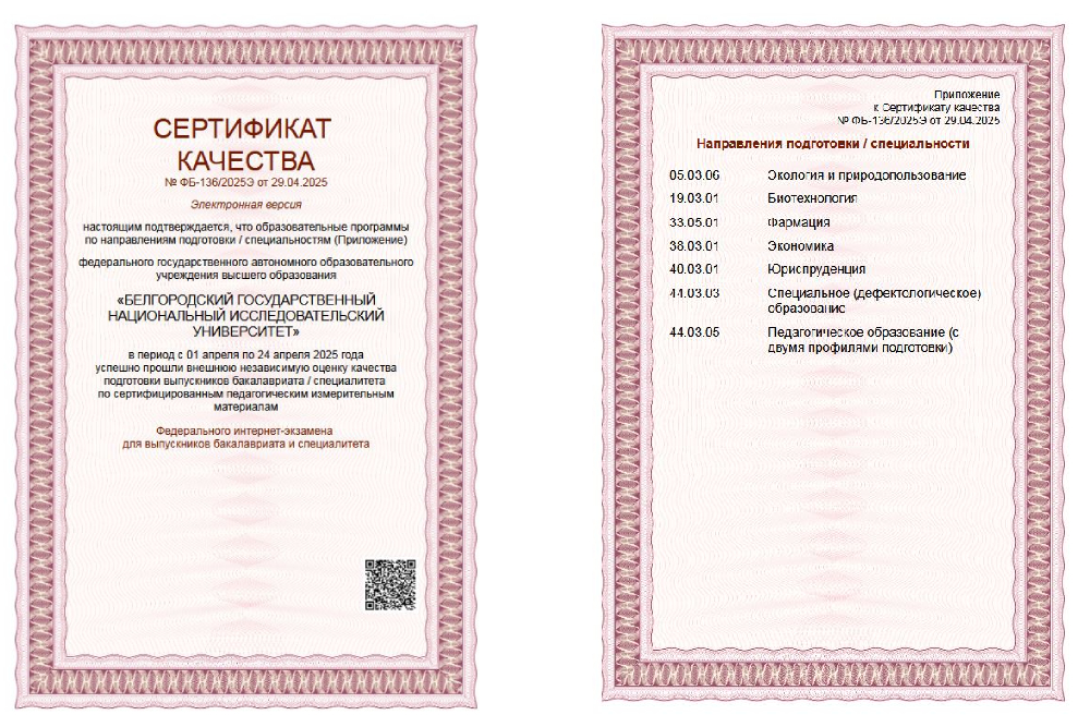 Выпускники НИУ «БелГУ» показали высокие результаты на ФИЭБ-2025

