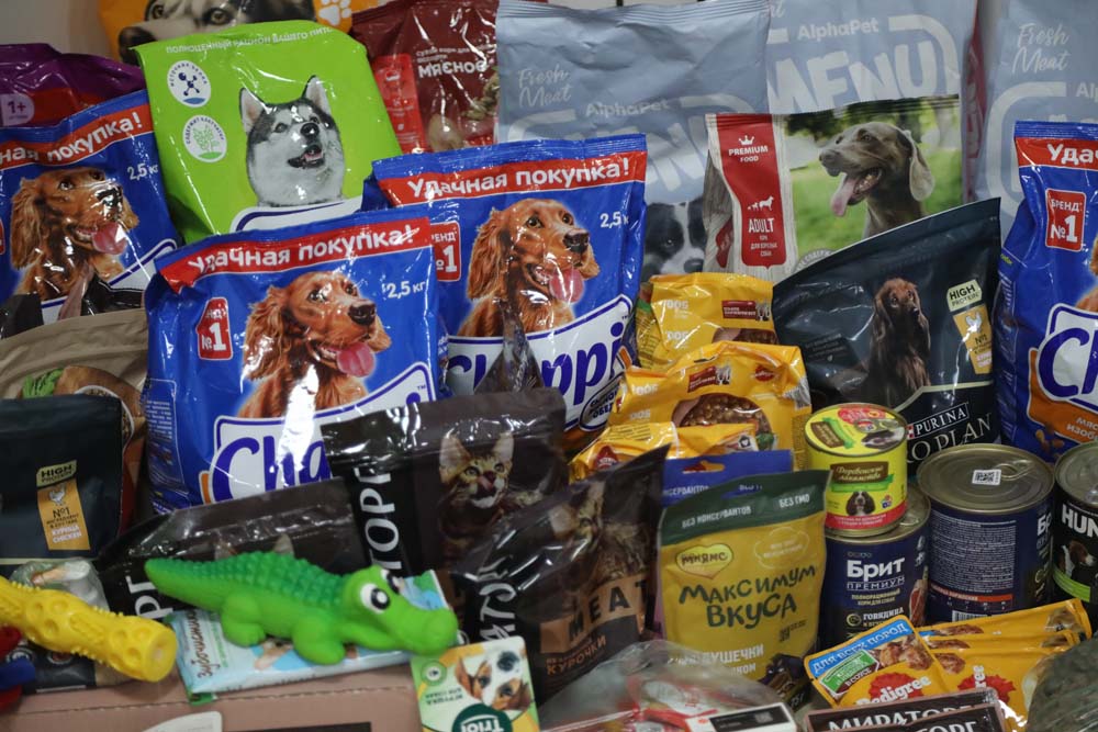 В НИУ «БелГУ» проходит акция помощи питомцам приюта для животных